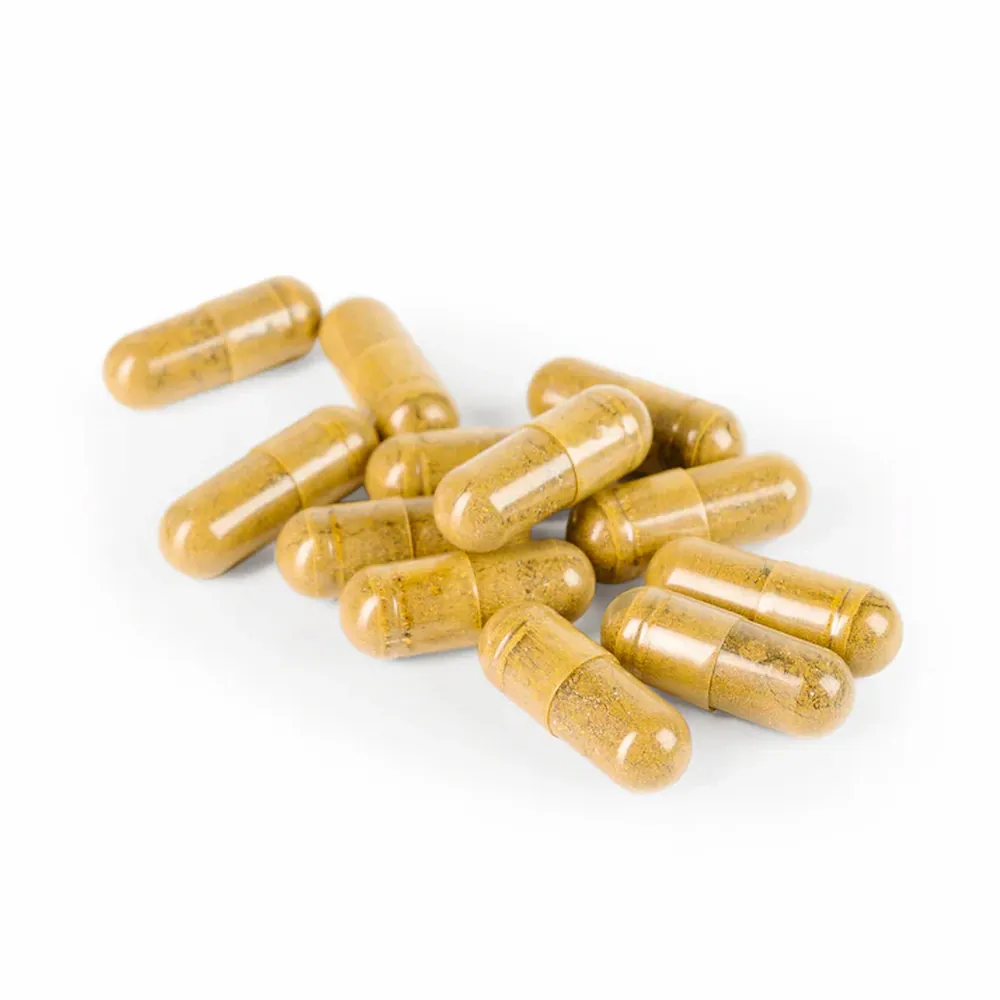 AP Traveler - 90 capsules|Ayush  Herbs - Image 5