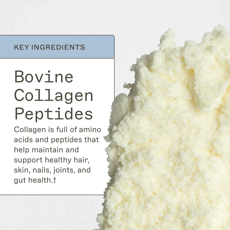 Collagen Protein Powder - 456g | Amy Myers MD - Image 3