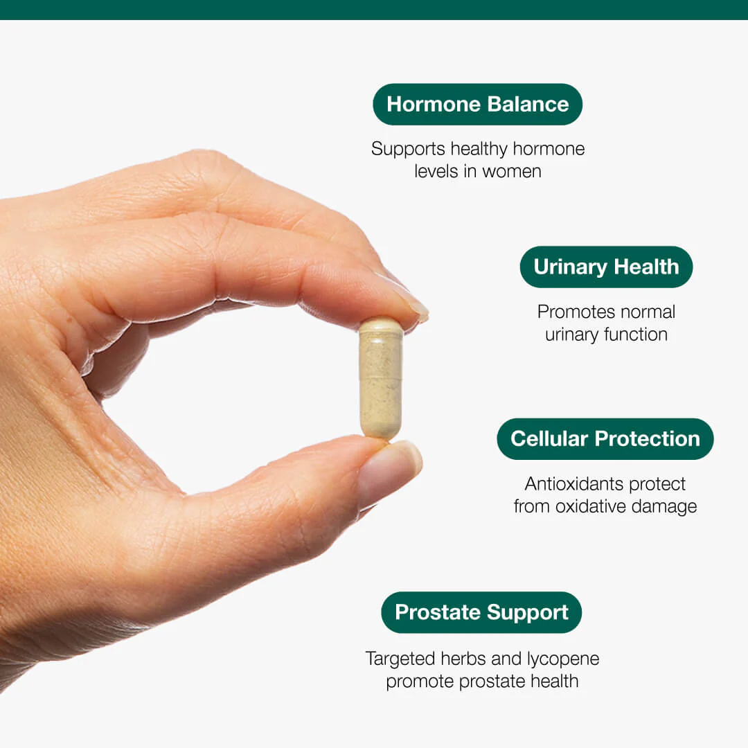Saw Palmetto + Stinging Nettle Complex - 60 Capsules | Metagenics - Image 2