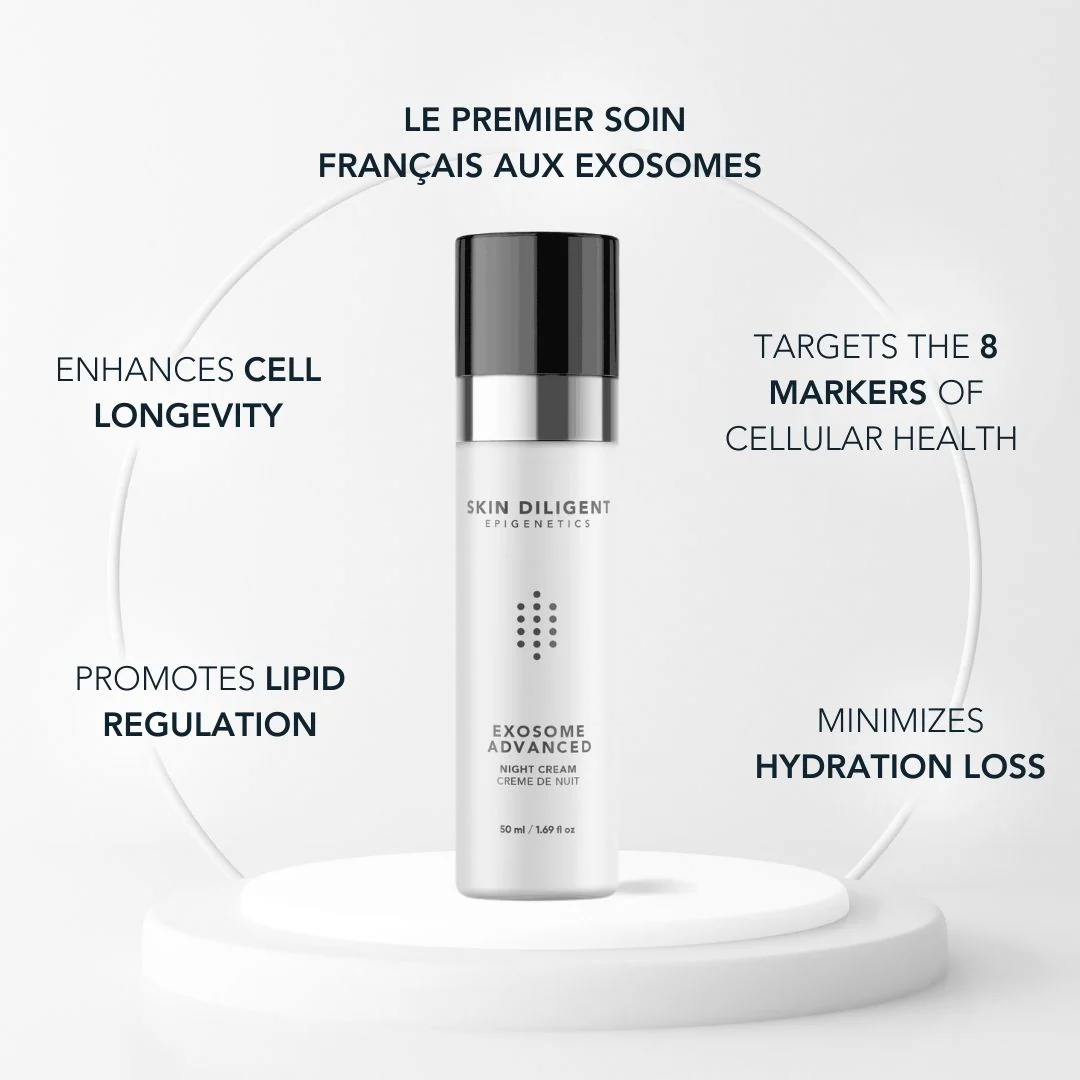 Exosome Advanced Night Cream - 50g | Skin Diligent - Image 3