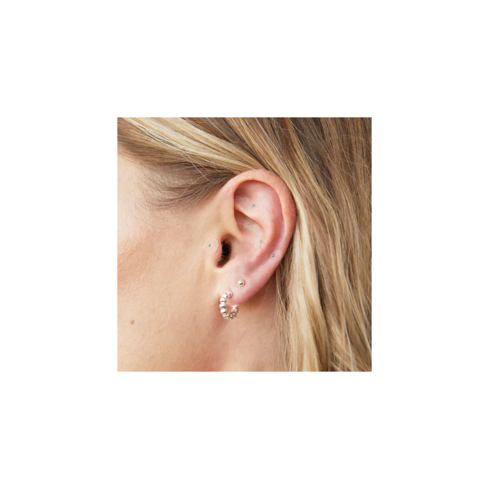 Silver Plated Ear Seed Kit | Acu Seeds - Image 5